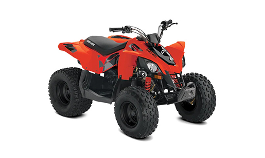 Can-Am ATV Youth DS 90 for sale in Ottawa